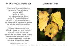 Ich-seh-die-Welt-Flaischlen.pdf